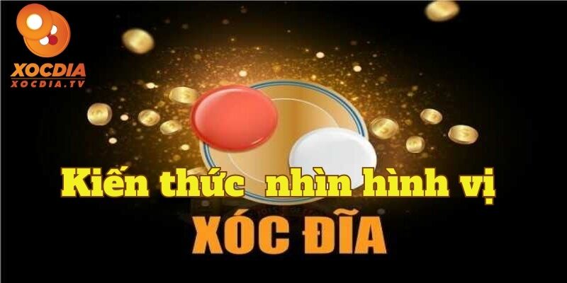 Áp dụng kiến thức hình vị xóc đĩa