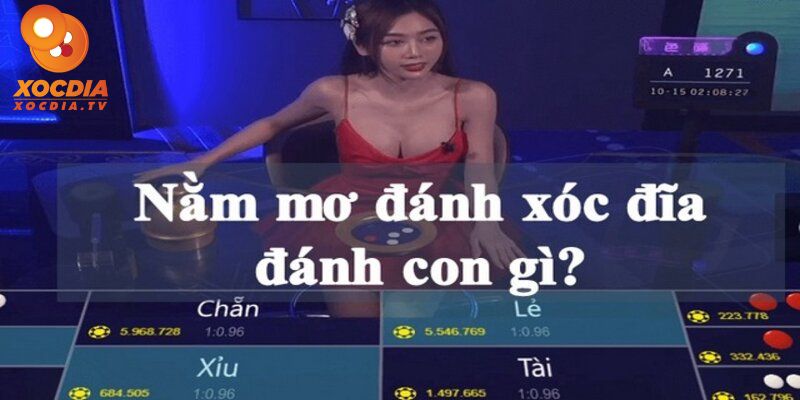 Con số lô đề khi nằm mơ đánh xóc đĩa