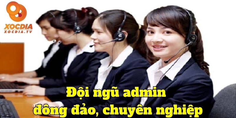 Đội ngũ admin đông đảo, chuyên nghiệp