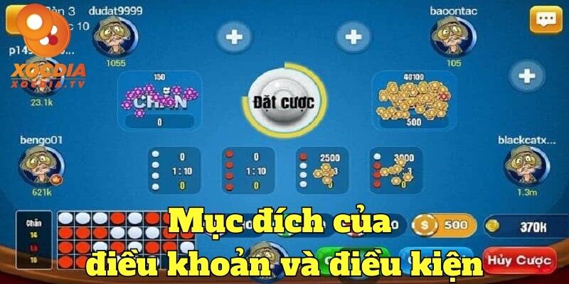 Mục đích điều khoản và điều kiện