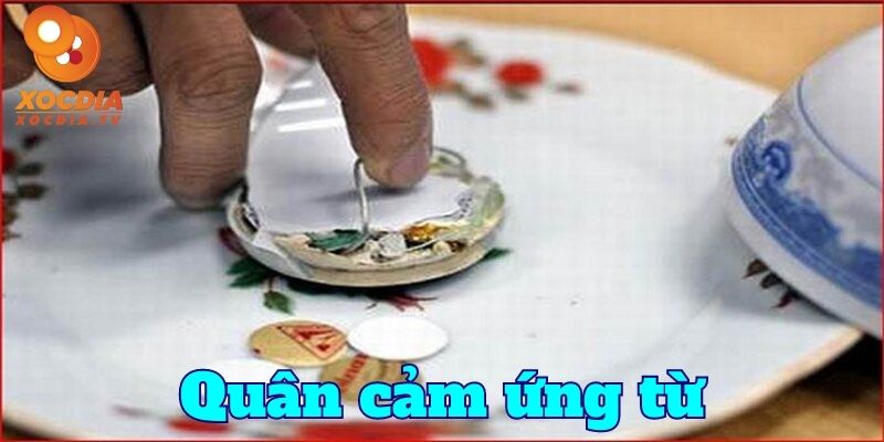 Quân cảm ứng từ