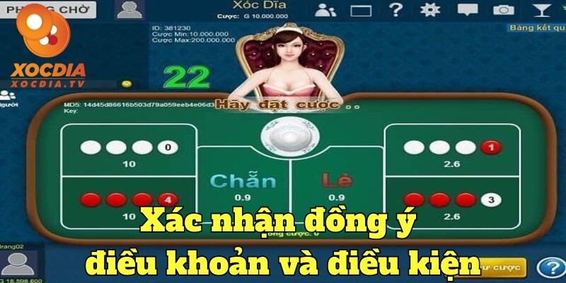 Đồng ý điều khoản và điều kiện