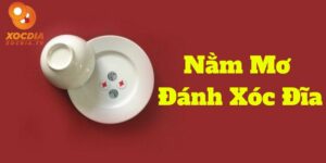 Giấc mơ đánh xóc đĩa