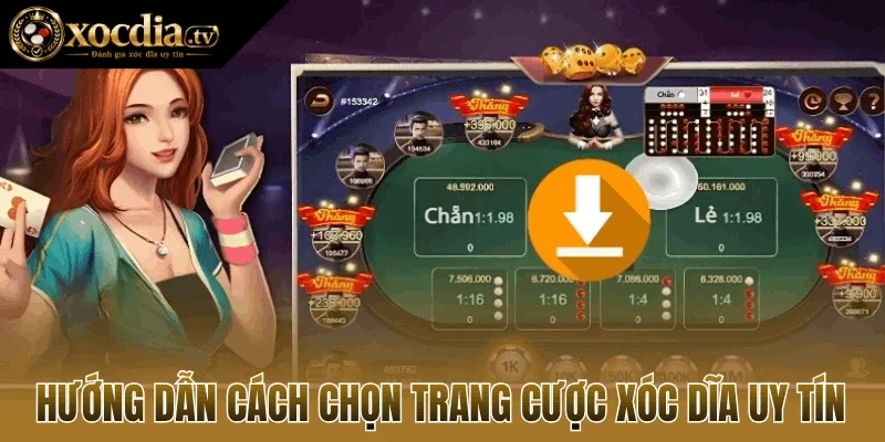 Hướng dẫn cách chọn trang cược xóc dĩa uy tín
