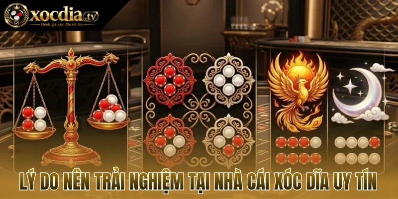 Lý do nên trải nghiệm tại nhà cái xóc dĩa uy tín