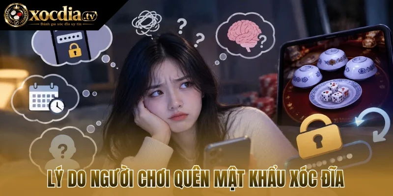 Lý do người chơi quên mật khẩu xóc đĩa