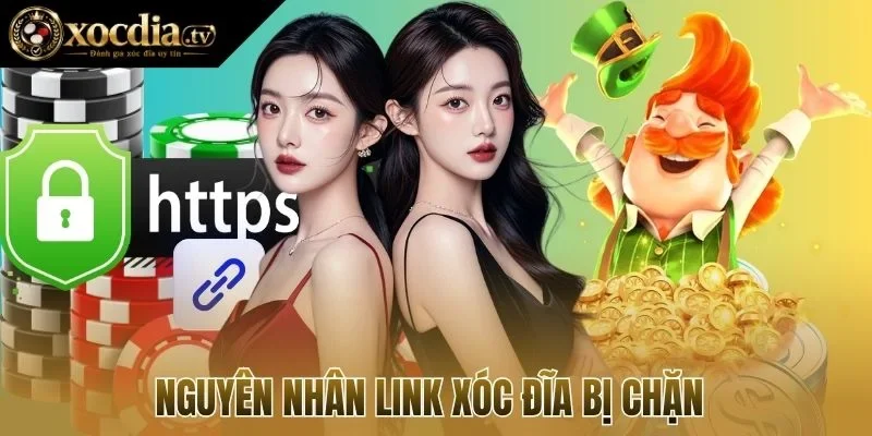 Nguyên nhân link xóc đĩa bị chặn